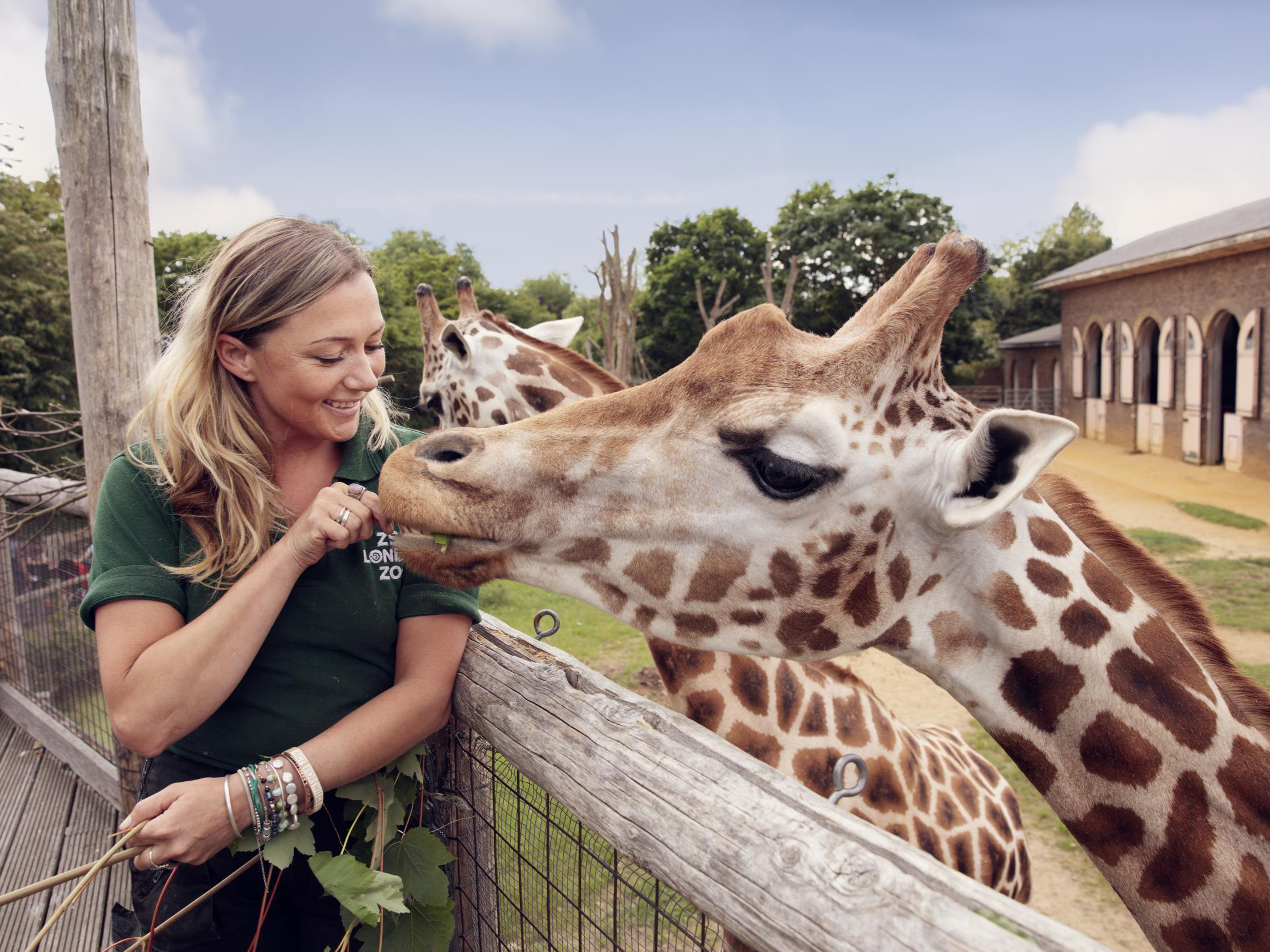 London zoo презентация